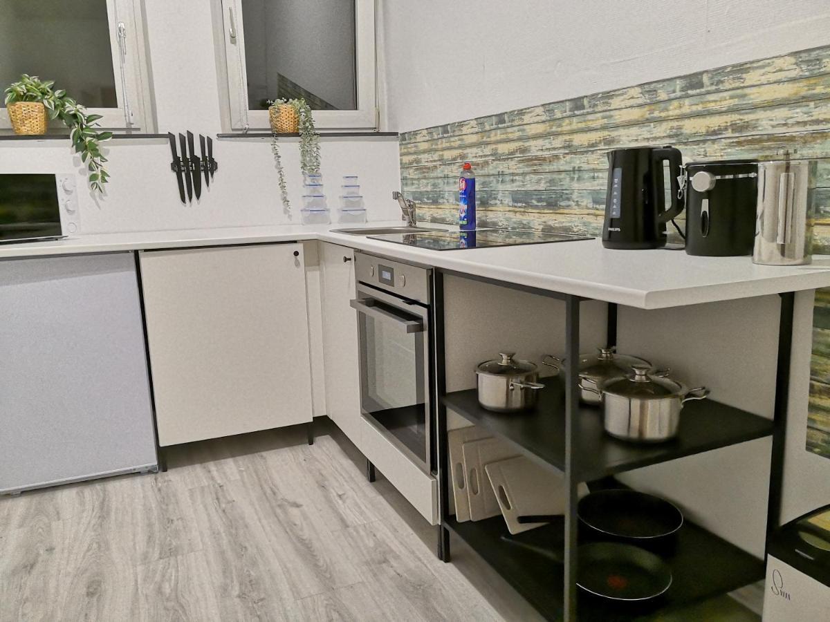 Apartment 1,3 Km Luftlinie Zur Innenstadt, Kueche, 5 Personen